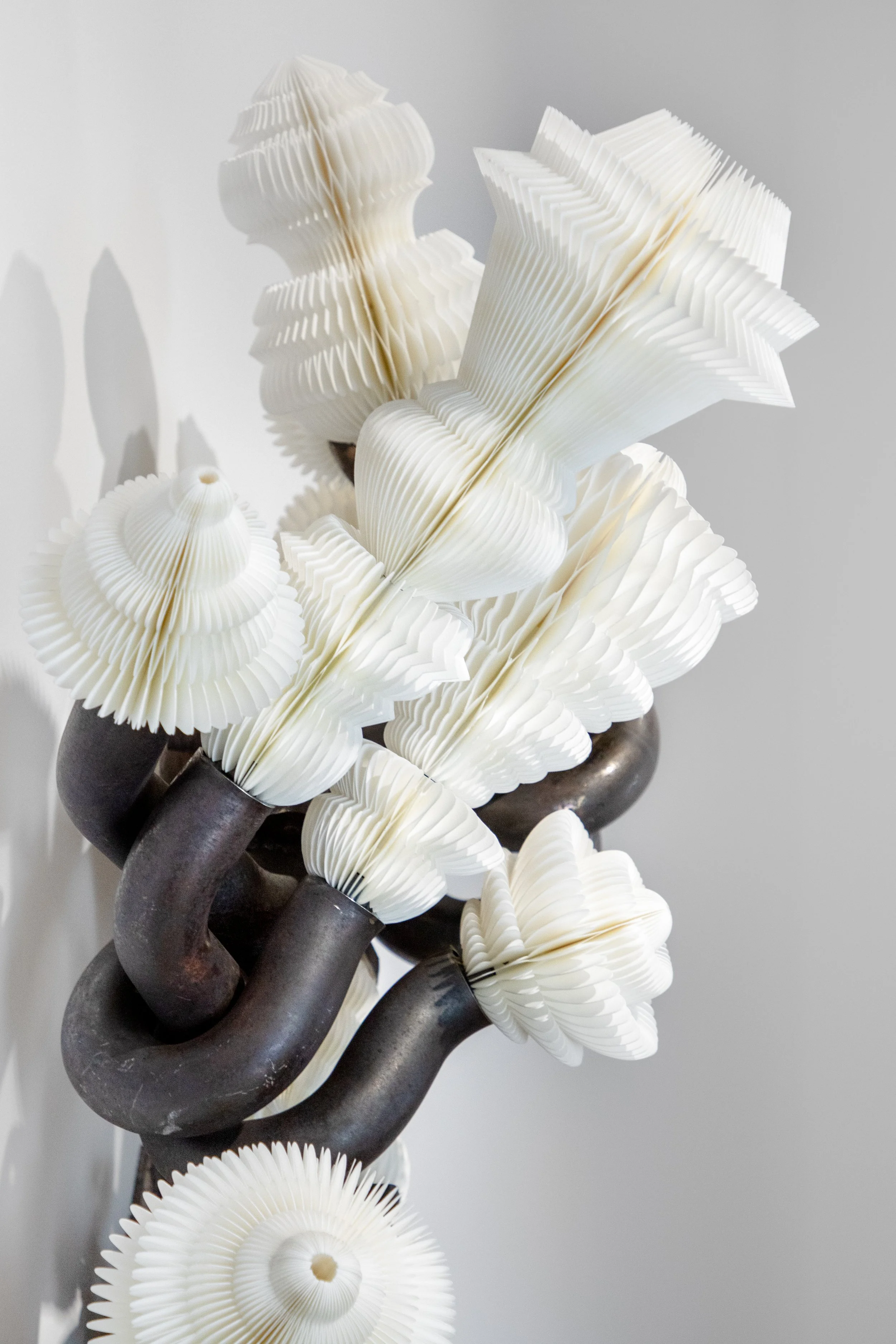 Keita Miyazaki — Piero Atchugarry Gallery